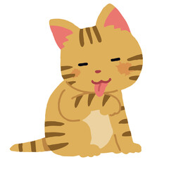 cat licking