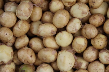 Young potatoes are healthy due to their content of vitamins (including a lot of vitamin C), minerals (potassium, calcium, phosphorus and others) and fiber