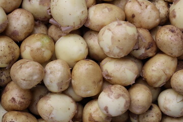 Young potatoes are healthy due to their content of vitamins (including a lot of vitamin C), minerals (potassium, calcium, phosphorus and others) and fiber