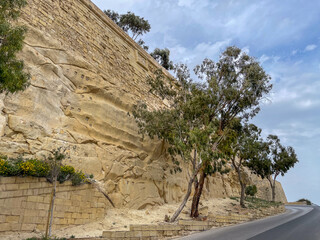 Steep limestone cliff with eucalyptus trees and a curving road under a bright blue sky in Malta.