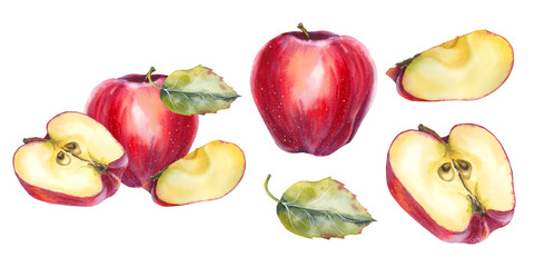 Watercolor illustration of red apples with slices and a green leaf in realistic style set. for food packaging, juice branding, organic product labels, cookbooks, kitchen decor and seasonal promotions