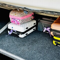 Luggage carried in the bus