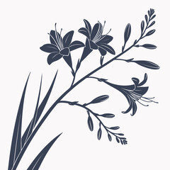 crocosmia with leave 