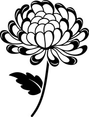 Flowers for decoration in many styles, SVG with clean lines.Delicate Black and White Floral Design of a Chrysanthemum