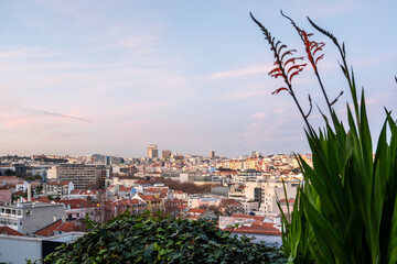 Beautiful Lisbon Rooftop and sky Views