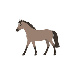 Fototapeta premium Elegant Grey Horse Walking Side Profile Illustration.