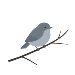 Obraz premium Small Gray Bird Perched on a Bare Branch.