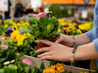 Girl Chooses Fresh Flowers At A Flower Shop In Action