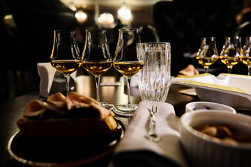 ​Elegant Wine Glasses with Wine on a Table	