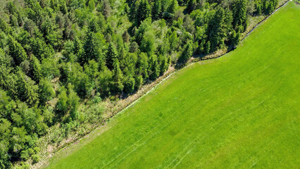 Vibrant Green Landscape With Forest and Field in Sunny Weather Captured From Above During Midday in...