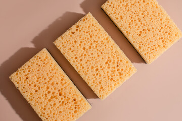 Ravishing honeycomb sponges bask under a shadowy sun, celebrating the absurdity of National Sponge...