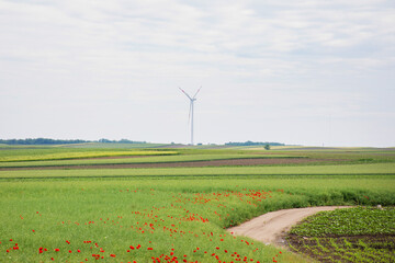 Fototapeta premium Wind turbine whispers over poppy-dappled fields, celebrating Renewable Energy Day, near the verdant embrace of summer's solstice