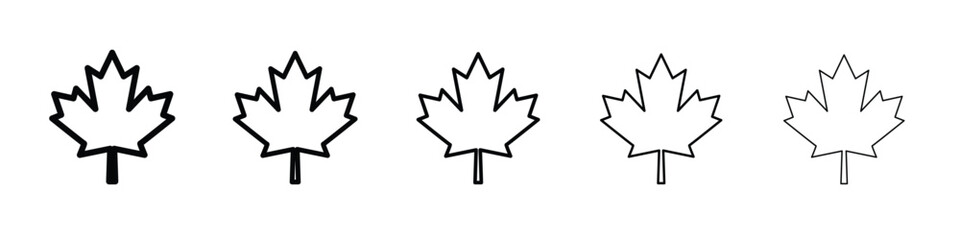 Maple leaf icon vector, Symbol, logo illustrations