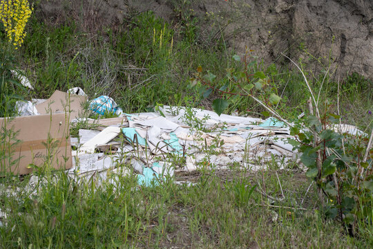 Overgrown wild thicket embraces forgotten debris, echoing Earth Day's call to reclaim urban waste with eco-friendly resilience