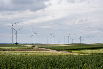 Whirring sentinels of the prairie spin under brooding skies, heralding eco-conscious Beltane and...