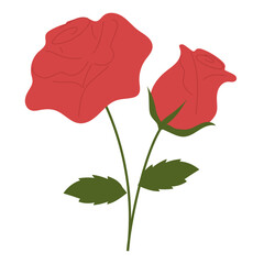 Rose  flower illustration flat design.