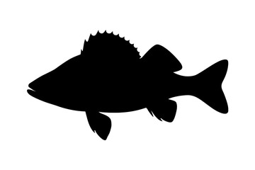 Black Silhouette of Perch Fish with Jagged Dorsal Fin Against White Background