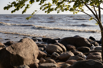 Rocky Seashore With Gentle Waves Under a Clear Sunlit Sky