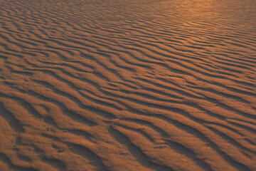Waves of sand stretch across the desert floor, illuminated by the warm glow of a setting sun, creating stunning textures and shadows.