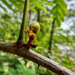 Close-up of a vibrant red flower bud poised to bloom, with delicate petals tightly wrapped and rich color hinting at the beauty soon to unfold, set against a soft green natural background.
