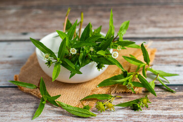 Bhringraj, known as False Daisy (Eclipta alba), is a powerful Ayurvedic herb used for promoting...