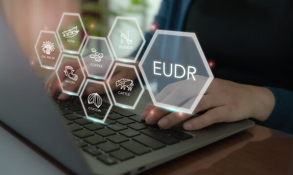 Implementation of the EU Deforestation Regulation (EUDR) concept. Using laptop with icons of regulated commodities; oil palm, soya, wood, cocoa, coffee, cattle, rubber. Traceability, sustainability.