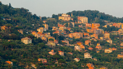 Obraz premium Colorful houses covering the hillside in camogli, liguria, italy