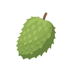 Freshly picked green soursop fruit with brown stem isolated.