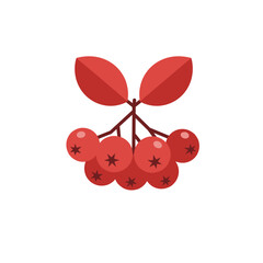 Fototapeta premium Vibrant Red Rowan Berries Cluster with Autumn Leaves.