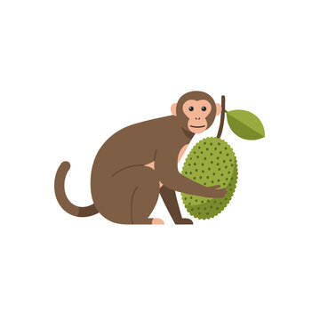 Cartoon monkey embracing a spiky green jackfruit with a single leaf.