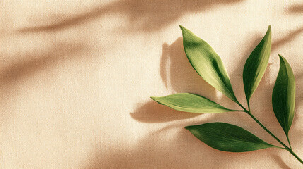 Minimalist Green Leaves and Shadow on Beige Linen Fabric