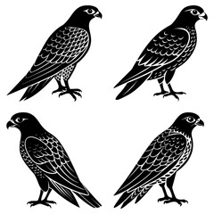 Four falcon silhouettes stand isolated on white background in graphic art