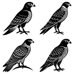 Four falcon silhouettes stand isolated on white background in graphic art