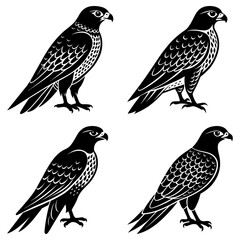 Four falcon silhouettes stand isolated on white background in graphic art