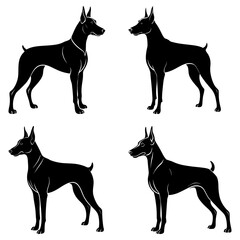 Four doberman silhouettes stand isolated on white background in simple style