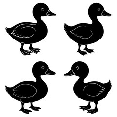 Four duck silhouettes isolated on white background in simple design