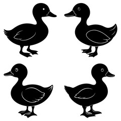 Four duck silhouettes isolated on white background in simple design