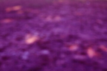 Dreamy Amethyst Garden Abstract Texture Background Soft Focus