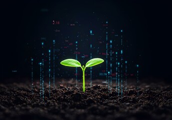 Digital Agriculture Innovative Technology Fostering Plant Growth and Development