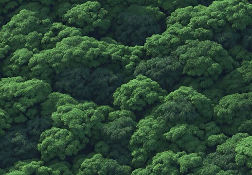 Tropical trees, ferns, and dense forest landscape come together in a lush rainforest canopy, showcasing nature's vibrant green environment