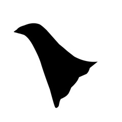 Superhero cloaks silhouette 