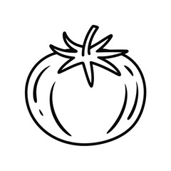 Simple Line Art Illustration of a Fresh Tomato on White Background