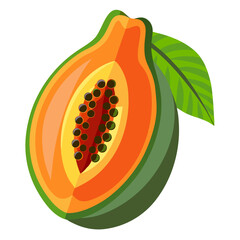 Fresh Ripe Papaya Fruit Vector