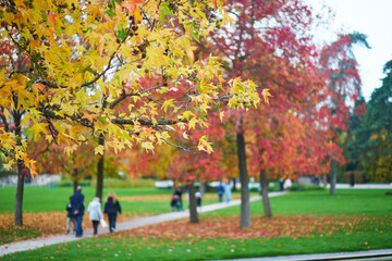 People walking in a fall park on a nice autumn day in Paris, France.