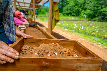 gem mining, wet sifting