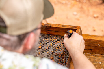 gem mining, wet sifting
