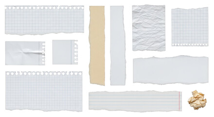 Collection of crumpled and torn paper pieces isolated PNG with Transparent Background