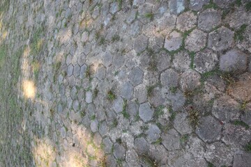 Overgrown hexagonal paving, textured surface for pathway or yard decoration