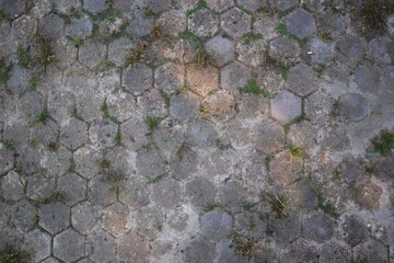 Interlocking Hexagonal Pavers with Emerging Vegetation, Textured Ground