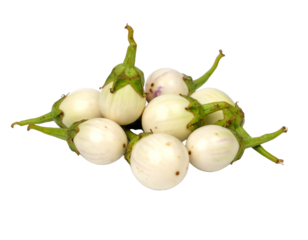 Fresh white eggplants on a white background.